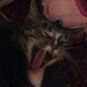 Meet your Posher, Marisa